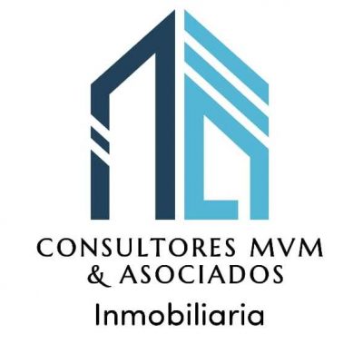 Consultores MVM & Asociados