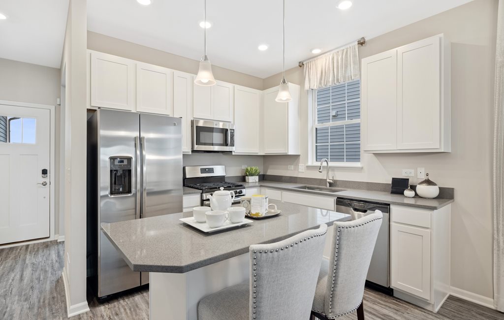 1832 Alta Drive Volo, IL 60020 Ridgefield ei Andare en Remington Pointe