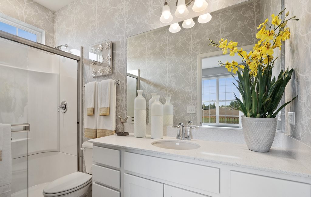 1832 Alta Drive Volo, IL 60020 Napa ei Andare en Remington Pointe North